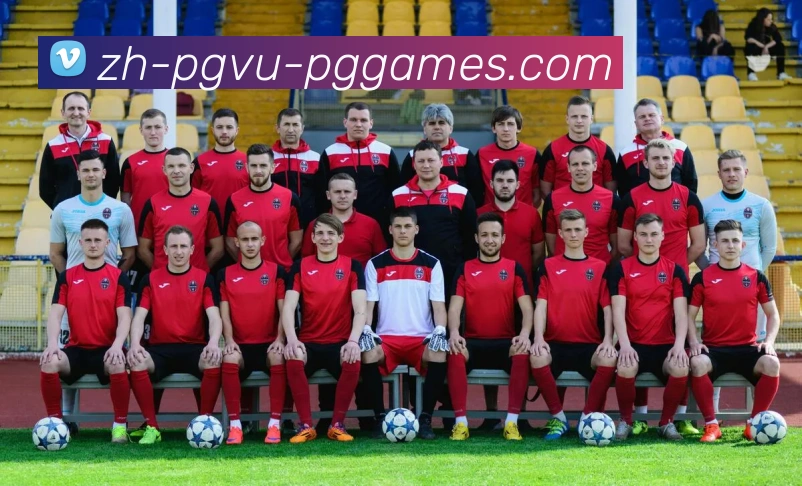 App Interface Preview